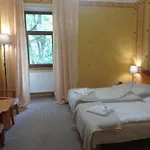 Couette-café Muza Duszniki Zdrój