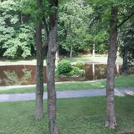 Oda ve Kahvaltı Muza