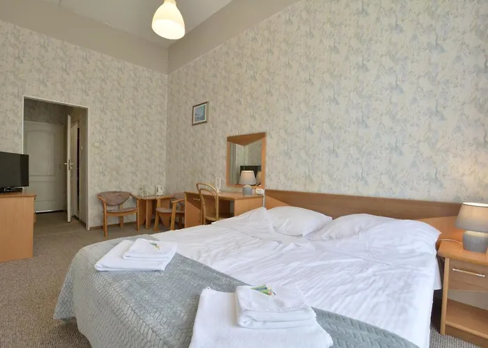 Muza ドゥシュニキ・ズドルイ