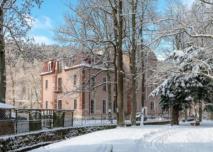 Muza Duszniki Zdrój